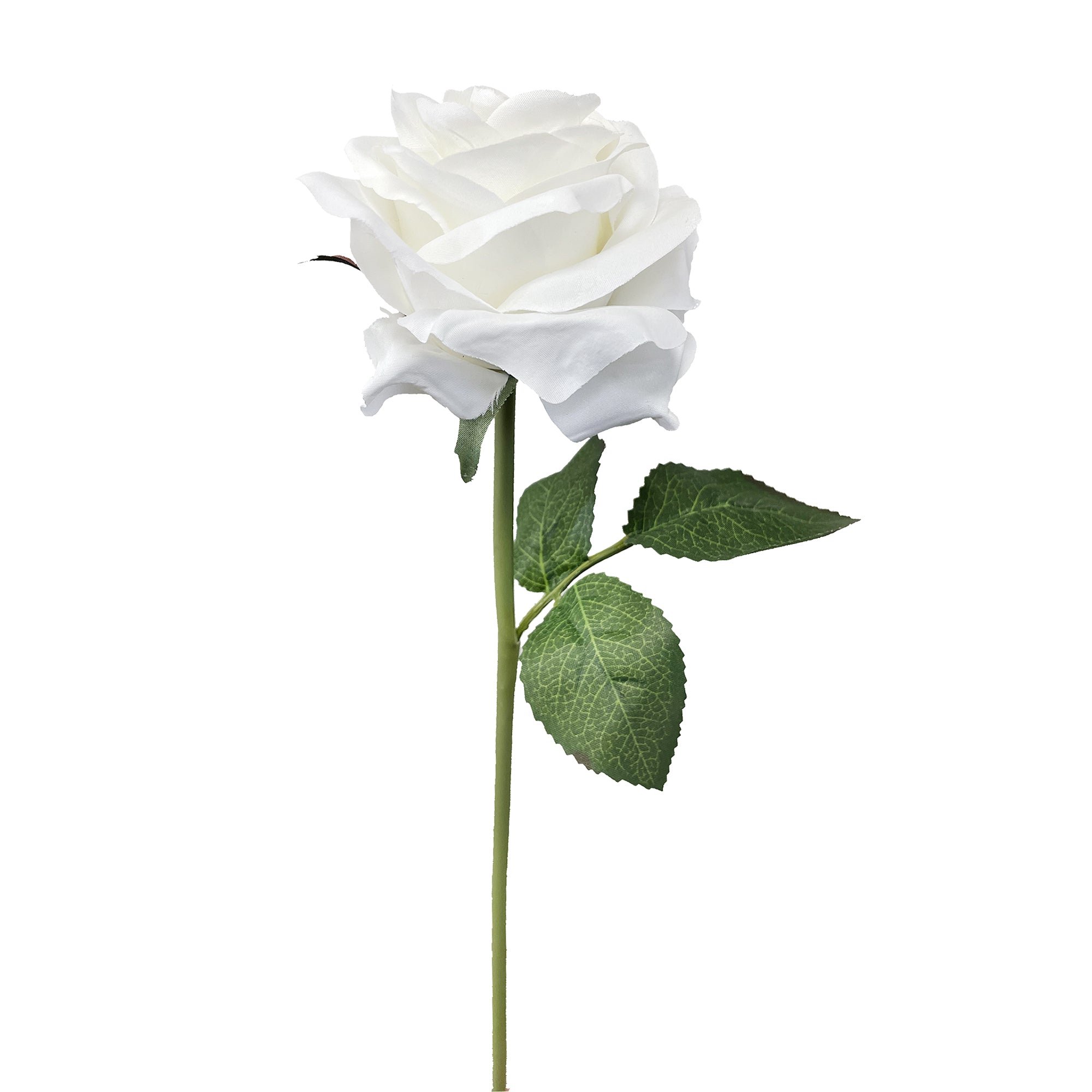 White Silk Single Long Stem Rose, 30in - Fisch Floral Supply