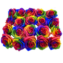 Load image into Gallery viewer, 20pcs Artificial Rainbow Roses Heads no stem Silk Flower Artificial Rose Flowers DIY Any Craft Floral Arrangment( Head-Red)
